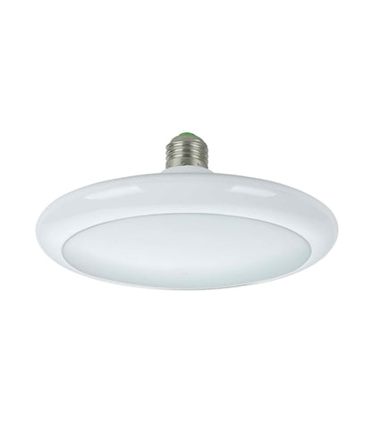 DRACO: Oyster LED Globes (15W)