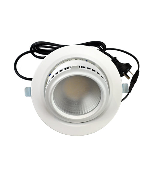 SHOP: LED Commercial Shop Lighters / Downlights (Round)